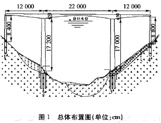 圖1 總體布置圖(單位：cm)